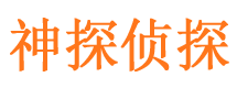 宝山区市私家侦探